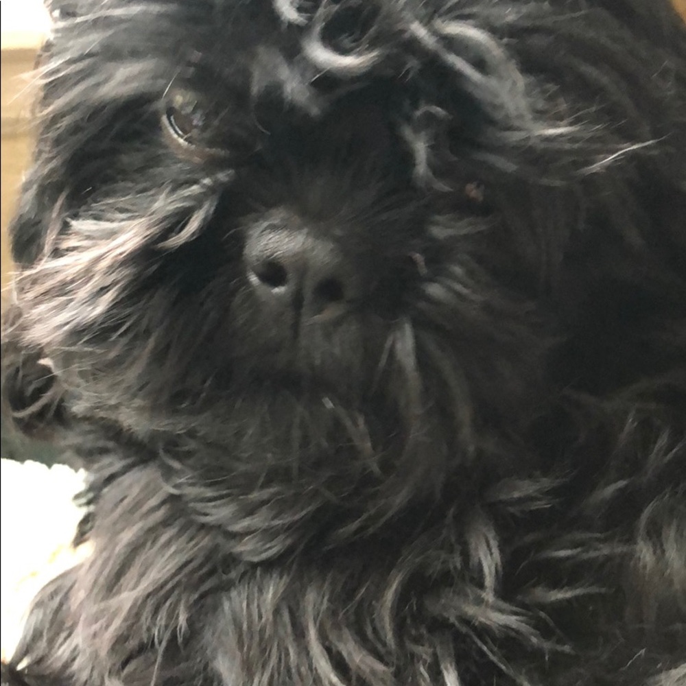 Meet your Posher, Tiffany